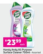  Handy Andy All Purpose Surface Cleaner (Assorted)-750ml Each
