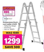 Mainstays Multipurpose Aluminium Ladder JC403