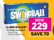 Dunlop Pro Slam Swingball