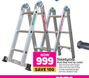 Steadystep Multi Step Fold Up Ladder