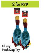 Ol Roy Plush Dog Toy-For 2