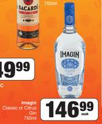 Imagin Classic Or Citrus Gin-750ml Each