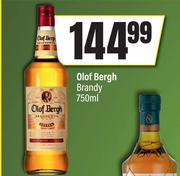 Olof Bergh Brandy-750ml