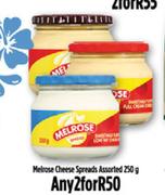 Melrose Cheese Spreads Assorted-2 x 250g