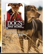 A Dog's Way Home DVD-Each