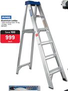 Mundo Aluminium Ladder