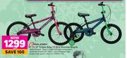 Raleigh 16" Or 20" Eclipse Boys Or Girls Mountain Bicycle-Each
