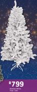 Alaskan White Tree 1.8m