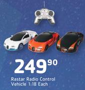Rastar Radio Control Vehicle 1:18-Each