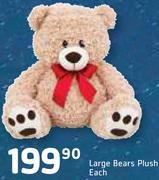 Large Bears Plush-Each