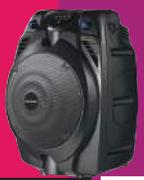 Blaupunkt PA Carry System With Bluetooth PPA600