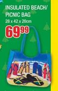 Insulated Beach/ Picnic Bag 28 x 42 x 20cm