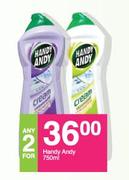 Handy Andy-2x750ml