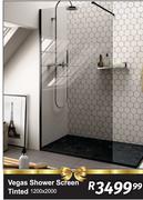 Vegas Shower Screen Tinted-1200 x 2000