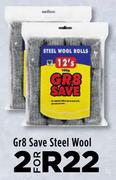 GR8 Save Steel Wool-For 2