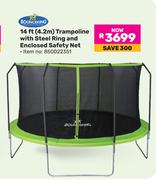 Bounceking 14Ft (4.2m) Trampoline With Steel Ring And Enclosed Safety Net 850022351