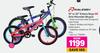 Raleigh 16" Or 20" Enduro Boys Or Girls Moutain Bicycle-Each
