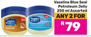 Vaseline Blue Seal Petroleum Jelly Assorted-For Any 2 x 250ml