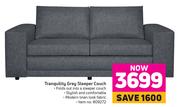 Tranquility Grey Sleeper Couch