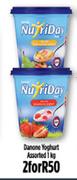 Danone Yoghurt-2x1kg