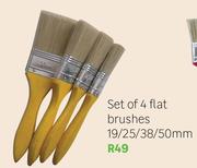 Set Of 4 Flat Brushes 19/25/38/50mm