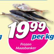 Frozen Maasbanker-Per Kg