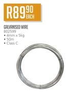 Galvanised Wire BO2599-Each