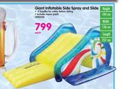 Giant Inflatable Side Spray & Slide-Each