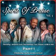 Spirit Of Praise Vol.3 CD
