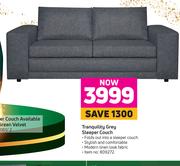Tranquility Grey Sleeper Couch