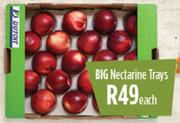 Big Nectarine Trays-Each