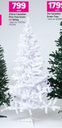 210cm Canadian Pine Tree Green Or White-Each