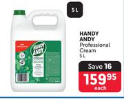 Handy Andy Professional Cream-5L Each