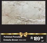 Polished Porcelain Embelia Brown 600 x 1200- m²