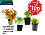 Assorted Annual Colour Pots 15cm And Herbs And Vegetable Pots 12cm-For 4