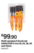 Hamilton's Viva Multi Purpose 5 Brush Set-Per Set