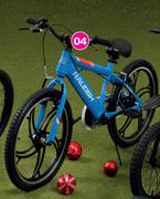 Raleigh 20" Vortex Mountain Bike 850024298