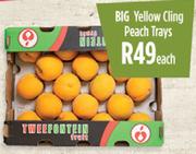 BIG Yellow Cling Peach Trays-Each
