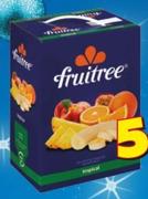 Fruitee Fruiter Nector Juice Blend-5Ltr Each