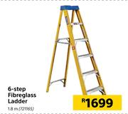6-Step Fiberglass Ladder