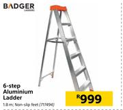 Badger 6 Step Aluminium Ladder 1.8m