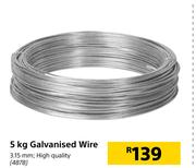 5Kg Galvanised Wire