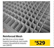 Reinforced Mesh