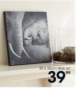Wall Art-30 x 30cm