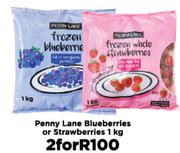Penny Lane Blueberries Or Strawberries-For 2 x 1Kg