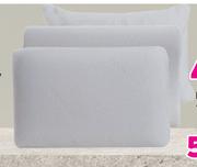 Tevo Memre Classic Wrapped Pillow-60 x 40cm Each