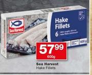 Sea Harvest Hake Fillets-600g