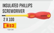 Insulated Philips Screwdriver 2x100