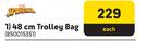 Spiderman 48cm Trolley Bag-Each