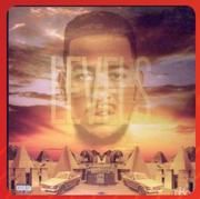 Levels Vinyl